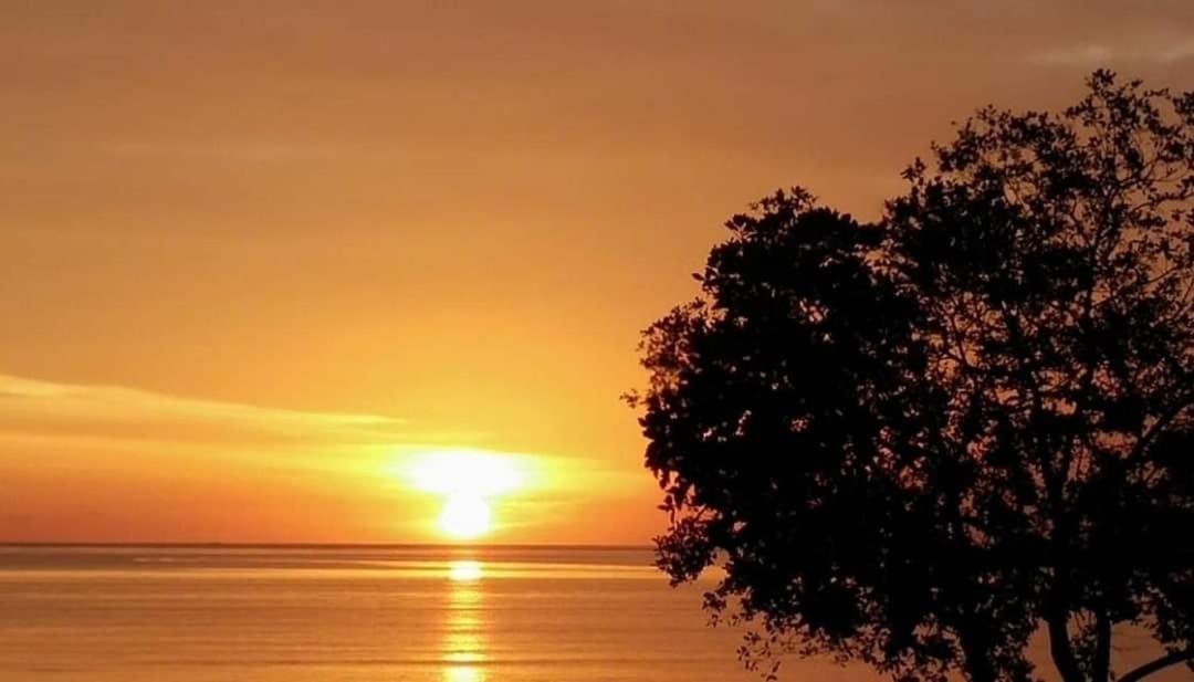 Ocean Lodge Pantai Cenang  Εξωτερικό φωτογραφία
